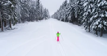 Top down view of the forest in winter. Winter landscape in the forest. Flying Stock Footage 85722971