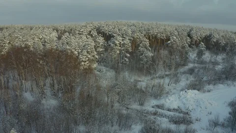 Top down view of forest in winter. Winter landscape in the forest. Flying over Stock Footage 126358697