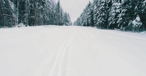Top down view of the forest in winter. Winter landscape in the forest. Flying Stock Photos