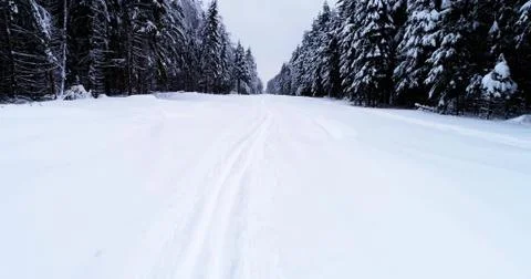 Top down view of the forest in winter. Winter landscape in the forest. Flying Stock Photos