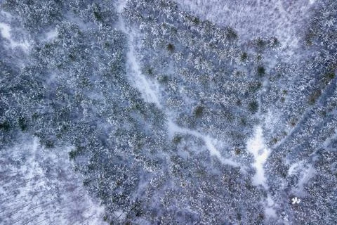 Top down view of the forest in winter. Winter landscape in the forest. Flying Stock Photos