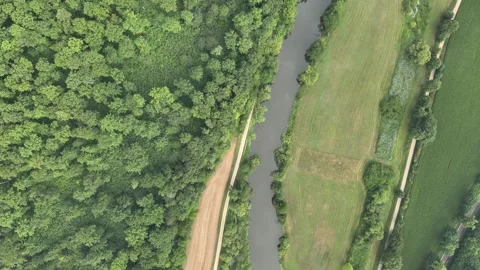 Top down view of forested river valley with fog Video stock 313761270