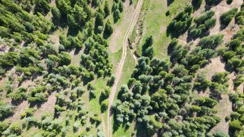 Top-Down View of the Forested Terrain Stock Footage 274535817