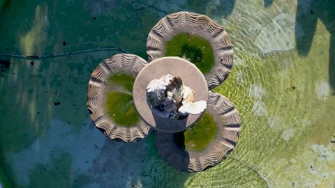 Top down view of Fountain at Cranbrook house gardens in Bloomfields, Michigan Stock-Footage 250047416