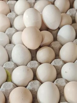 Top Down View of Fresh Chicken Eggs in Cardboard Egg Carton Stock Photos