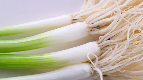 Top down view. Fresh green onions (scallions) with  bulbs and roots Stock Footage 296563171