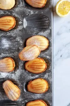 Top down view of fresh lemon scented madeleine cakes in a tin and lemon 写真素材