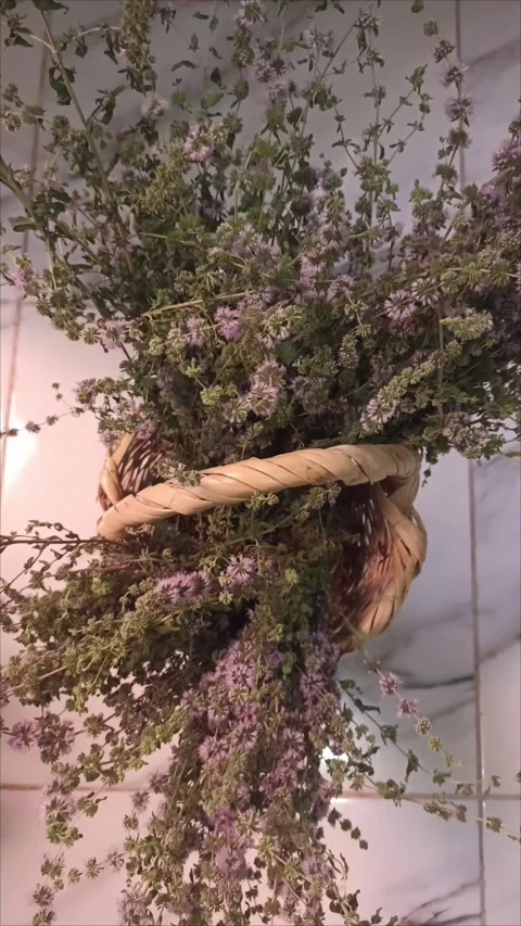Top Down View of Fresh Pennyroyal Mint Bouquet Video stock 337729702