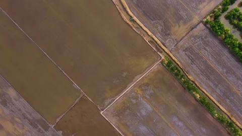 Top-Down View Of Freshly Tilled Rice Fields Stock Footage 340488846