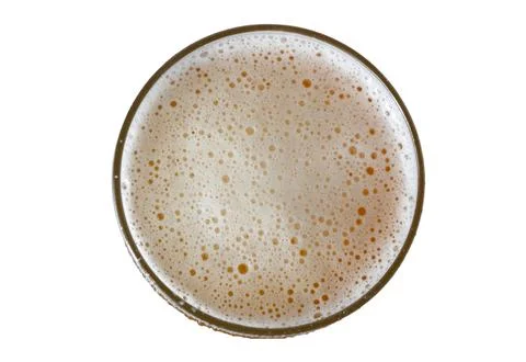 Top-down view of a frothy beer glass head against a clean white background Stock Photos