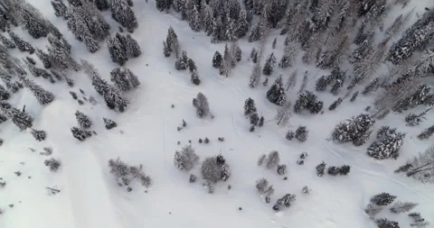 Top down view of frozen Forest in Winter. Aerial Winter Landscape in the Alps Video stock 150116366