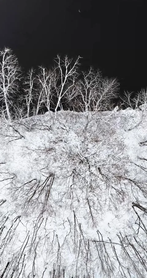 Top down view of frozen river and winter snowy forest. Stock Footage 346635119