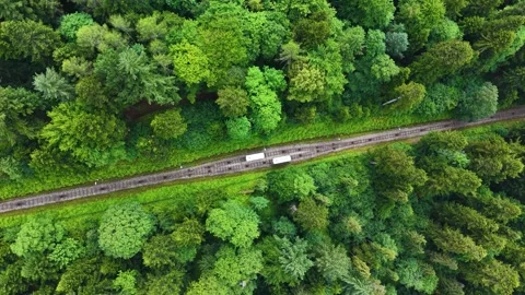 Top down view of funicular railway tracks in a mountain forest Stock Footage 338307999