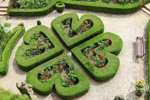 Top-down view of a garden hedge shaped like a four-leaf clover, each leaf c.. Stock Photos