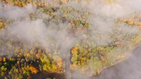Top Down View of Gauja Bridge Through Autumn Fog in Sigulda Latvia Sunrise Vídeos de archivo 336642784