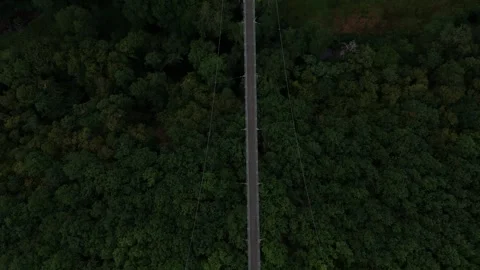 Top down view of Geierlay bridge over dense green canopy 스톡 동영상 340367906