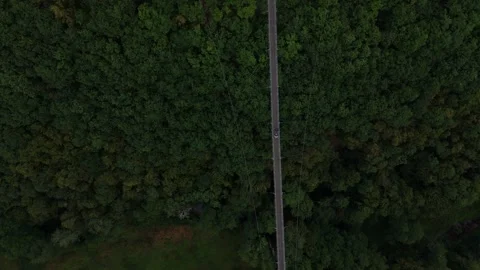 Top down view of Geierlay suspension bridge over dark forest 스톡 동영상 340367931