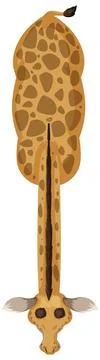 Top-Down View of a Giraffe Stock Illustration