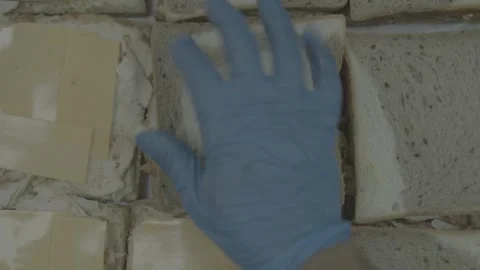 Top-down view of gloved hands completing a large batch of fresh sandwiches 스톡 동영상 327357207