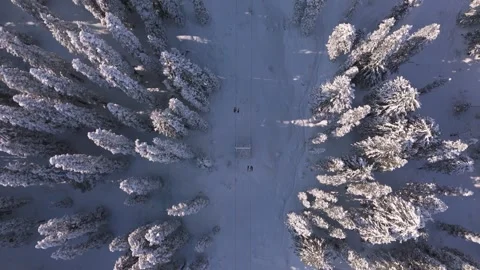 Top-down view: Gondola trail across winter forest n Gulmarg. Stock Footage 311945859