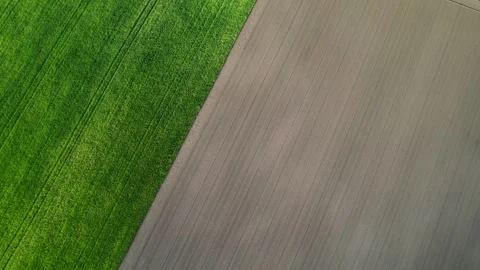 Top down view of green and plowed fields The Concept of Agriculture Stock Footage 322897911