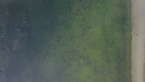 Top Down View of Green Lake in Portugal Video stock 145350746