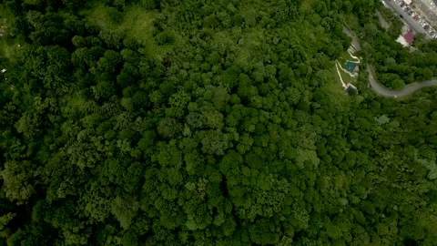 Top down view of a green mountain and the blue beach of Batumi Vidéo 256606004