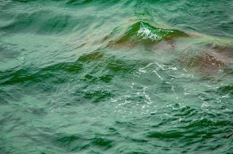 Top down view of green ocean water with small waves creating dynamic patter.. Fotos de archivo
