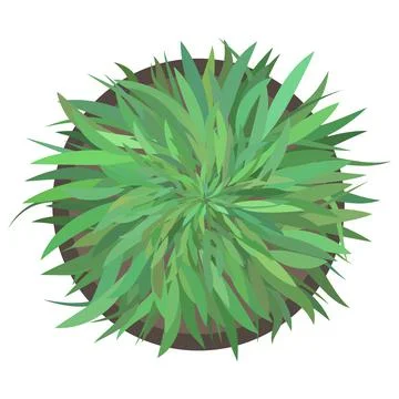 Top down view of green potted plant イラスト素材