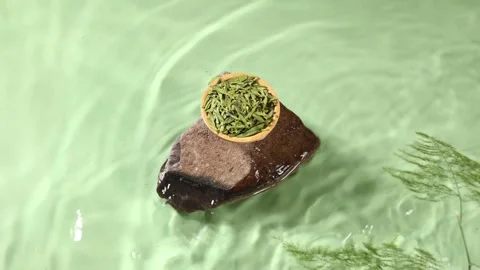 Top Down View of Green Tea Leaves on Rock in Rippling Water Stock Footage 340617314