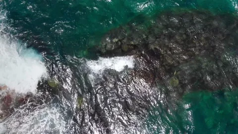 Top-down view of a group of sea turtles in the ocean waves Video stock 135915945