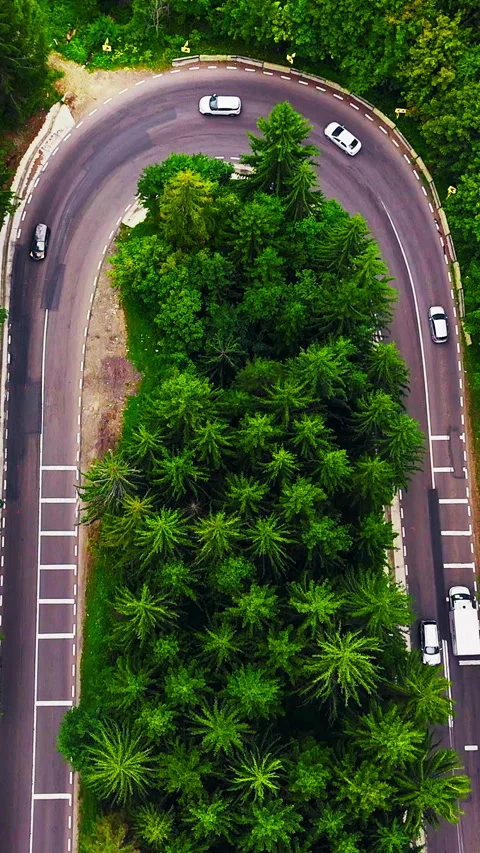 Top down view of hairpin turn on mountain forest road. Vertical video. Stock Footage 333205497