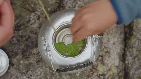 Top-down view of a hand adding fresh green mint leaves into a metal camping Vidéo 336204391
