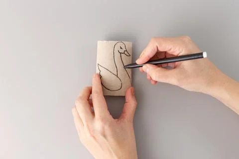 Top down view of hands drawing swan on empty toilet paper roll, step in cre.. Stock Photos