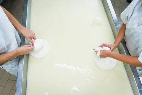 Top down view of hands pressing curd into cheese shape,young in dairy plant Stock-Fotos