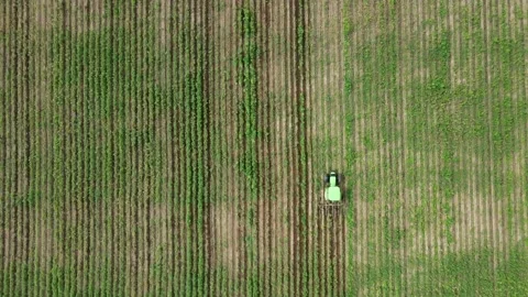 Top down view of harvester machine working in the beet field. Combine Stock Footage 202213439