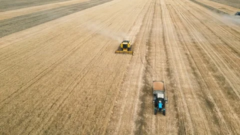 Top down view of Harvester machine working in Stock Footage 249281867