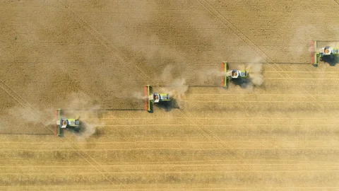 Top down view of Harvester machines working in wheat field . Combine agriculture Vídeo Stock 134396484