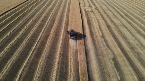 Top down view of Harvester machines working in wheat field. Video stock 162410512