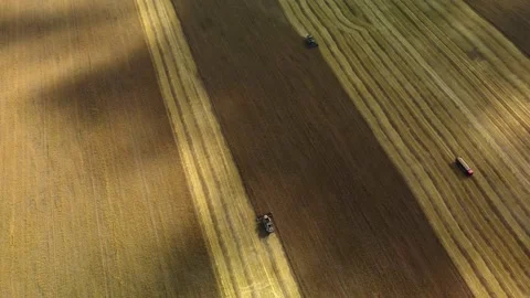 Top down view of Harvester machines working in wheat field Stock Footage 224080441