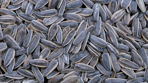 Top down view. Heap of black sunflower seeds, Slider shot. Видео 296522119