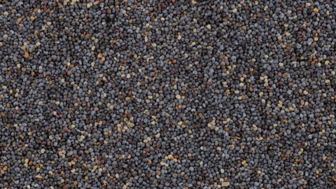 Top down view. Heap of dry opium poppy seeds, slider shot. Stock Footage 296518176