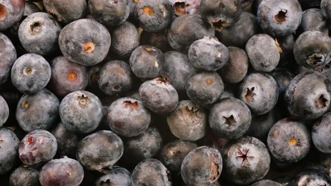 Top down view. Heap of fresh blueberries in close detail. Slider shot. Stock Footage 296565351