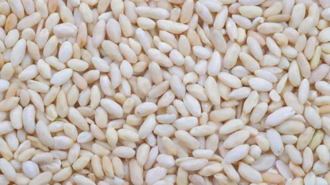 Top down view. Heap of roasted pine kernels in close detail. Slider shot. Video stock 296570593