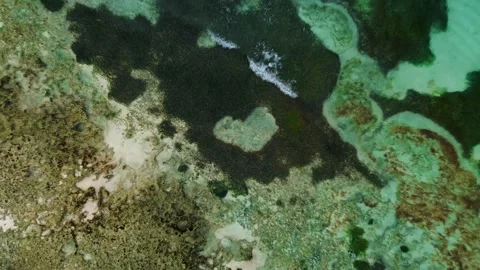 Top down view of Heart lagoon in Caribbean Sea, Dominican Republic aerial Stock Footage 266427874