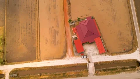 Top Down view of house in the middle of paddy field. Stock Footage 149012944
