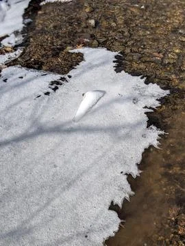 Top Down View of Ice Formations and Snow on a Flowing Rocky Creek Bed 写真素材