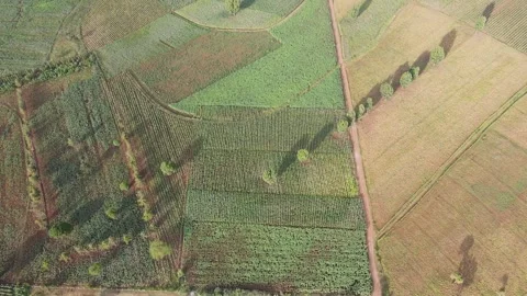 Top down view on idyllic patchwork fields in rural landscape in Kenya Stock Footage 279529201