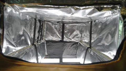 Top-Down View Inside Empty Food Delivery Bag with Silver Thermal Insulation Stock Footage 341369024