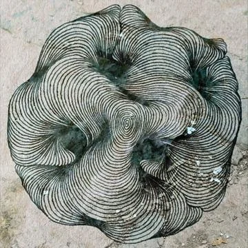 A top-down view of intricate optical illusion street art featuring black Stock Illustration
